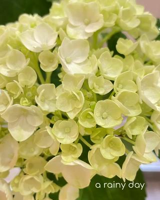 POLAエステインプリズム所属・POLA エステインプリズムのエステ・リラクイメージ