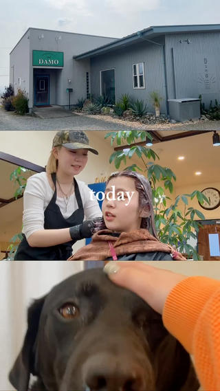 カラー Inity／ Nina✩.*˚の眉毛・アイブロウイメージ