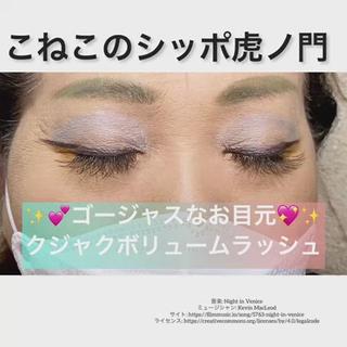 取り扱いサロンの少ないクジャクボリュームラッシュ

ゴージャスなのに持ちが良いと、こねこのシッポでは1番人気のエクステです

付け放題コースとなります 