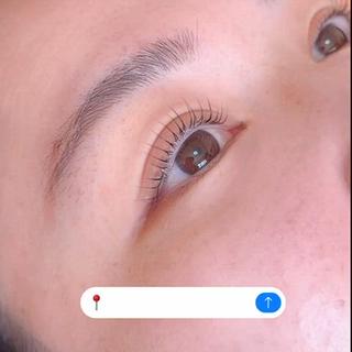 根本からスッキリ上がる立ち上げデザイン