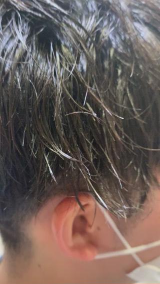 ミディアム 岡本 勇輝のヘアスタイル