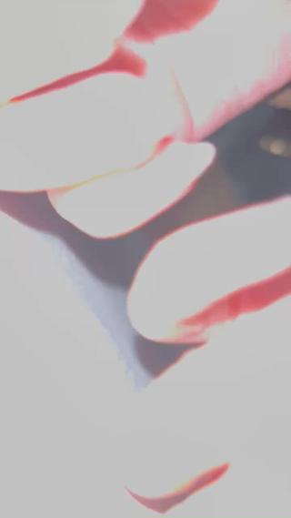 マグネットフラッシュ 