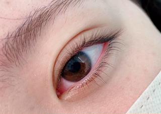 ︎下まつ毛︎

ビューラー塗りやすくなります

 