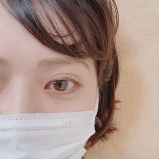 ぱちぱち瞬きしても可愛い
くるっと上向きまつげ ꙳⋆ 