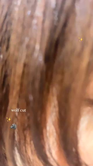 ウルフカット
レイヤーカット 