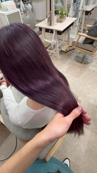 ピンクラベンダー 