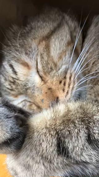 DANRO整体院所属・久保 亮介のエステ・リラクイメージ