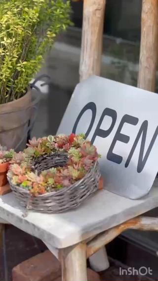 ショート メンズ Ang　山口 莉沙のヘアスタイル