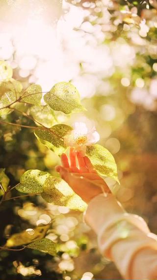 Fuwari Momiのエステ・リラクイメージ