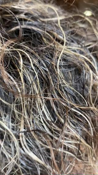 メンズ Douglas hair所属・Douglas ayaのヘアスタイル