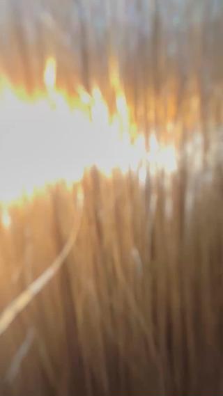 ロング カラー 宮下 浩一のヘアスタイル