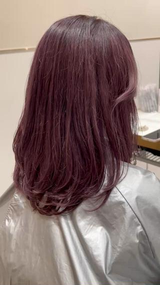 ラベンダーカラー