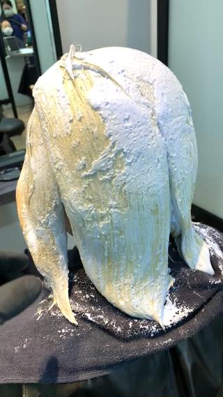 地毛からの1ブリーチ
参考動画 