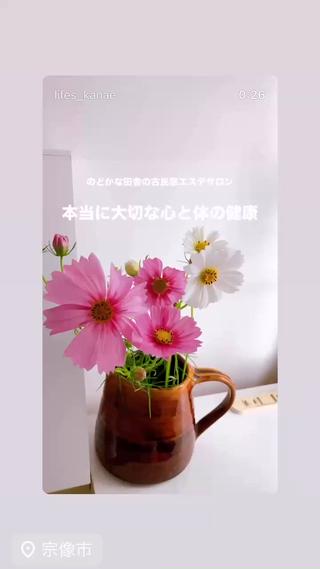 ダイエット動画モデル 枠朝活特化kanaeのエステ・リラクイメージ