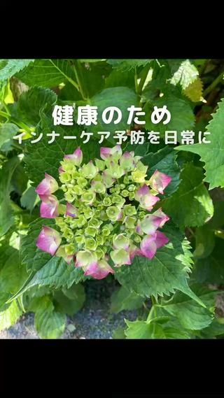 ダイエット動画モデル 8:30|kanaeのエステ・リラクイメージ