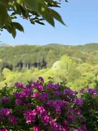 春よ​〜​来た

#＆Healthy(アンドヘルシー)#ハリウッドブロウリフト&マツパ/#マツエクサロン /#ネイルサロン/#マツエク/#ボリュームラッシュ/#バインドロック/#まつ毛パーマ/#フラットラッシュ/#ボリュームラッシュ/#ハリウッドブロウリフト/#メンズブロウリフト/#ワンホンデザイン/#ワンホン/#マツエクつけ放題/#パリジェンヌ/#下まつげ/#アイブロウ/#ラッシュリフト/#眉毛/#パリエク/#アメ村/#心斎橋マツパ/上下/#網紅/#束感/ 