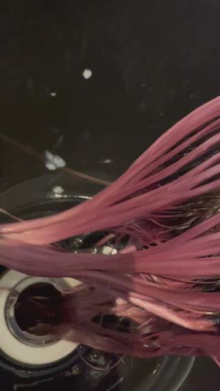 ピンク系カラーおまかせください 