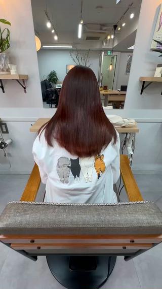 髪質改善トリートメント
ミディアムヘア
ツヤ髪
ダメージケア