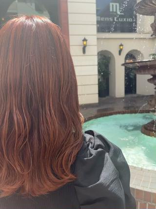 オレンジブラウン

素敵な秋カラーしませんか？

 ブリーチ無しでできます
ワンカラーもしくは
ブリーチ無しのWカラー！

地毛からブリーチ無しでこの色に
最強柔らかカラー

ケアカラー
phコントロール
髪質に合わせたトリートメント

たくさんの知識技術を持って
髪の毛を痛ませず綺麗に明るくします

沢山の検定、資格を持つ知識や技術
今後のカラーなども考えた最高の今をお届けします
┈┈┈┈メニュー┈┈┈┈┈┈
初回クーポンがお得
ケアブリーチカラー+トリートメント初回
7900円
2ケアブリーチカラー+トリートメント
9900円
カラー+トリートメント
3900円
┈┈┈┈トリートメント┈┈┈┈┈┈
トリートメントに関して
薬学部出身の理系美容師である僕がトリートメントを一人ひとりの髪の毛のお悩みを合わせた多様の組み合わせによりサラサラ髪、しっかり髪、切れ毛枝毛防止と様々な質感・補修を行います

トリートメントの工程と致しまして
リセット⇒素髪にする⇒浸透性の確保
栄養を入れる為の道作り⇒キューティクルを開く⇒更なる浸透性を高める
ケラチン補給⇒ハリ・コシを生む⇒切れ毛枝毛防止
コラーゲン補給⇒しっとり感&まとまりを与える⇒やわらかさを与える
毛髪の骨となる部分の強化⇒栄養と栄養を結び密度の濃い毛髪を作る
ポリフェノール⇒余分な水分排除⇒のカラーやパーマ、トリートメントの効果を長持ちさせる
毛髪の筋肉となる部分を強化⇒栄養と髪の毛を繋げる
キューティクルを整える⇒失ったキューティクルを補修し保湿力やカラートリートメントのモチをUP
毛髪の皮膚を守る⇒4種のオイルを塗布しパサつきを抑え煌めく髪を表現

以上の9つのSTEPを行いうる艶サラサラ髪を作り出します

#ミルクティーカラー
#オレンジ
#ヘアカラー
#オレンジカラー
#ブリーチ
#秋カラー
#グレージュ
#寒色系カラー 
#グレージュ
#髪質改善トリートメント
#ハイライトカラー
#グラデーションカラー
#ブリーチカラー
#パープルカラー 
#いいね返し #いいね返しは絶対  #いいねした人で気になった人フォロー  #likeforlikes  #like4likes  #美容師 #美容師と繋がりたい #美容学生 #美容学生と繋がりたい #美容室 #シルクカラー #原宿 #表参道 #ハイライト #インナーカラー #グラデーションカラー 