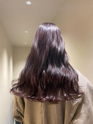 ラベンダーカラー 