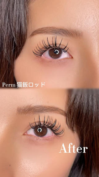 LEDマツエク×LDカールエクステ×まつげパーマ 