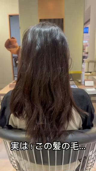 セミロング 巻ける縮毛矯正 タイラハルキのヘアスタイル