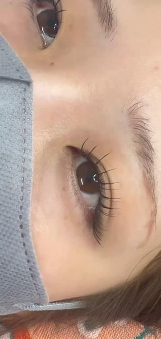 パリエクパリジェンヌ(上まつ毛)+ フラットラッシュ 100本