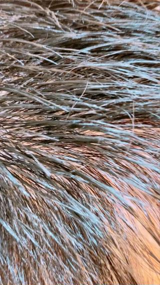 漢らしいヘアスタイルならフェード 