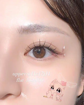 フラットラッシュ100 