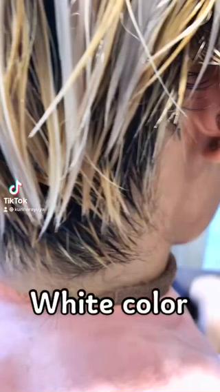 ホワイトシルバー 