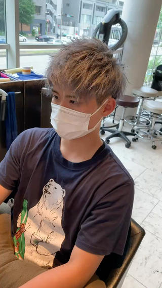 シルバーアッシュ 