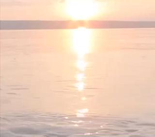 ネイル nail salon petillantのネイルデザイン