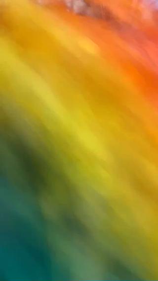 カラー 軍司 心奈のヘアスタイル