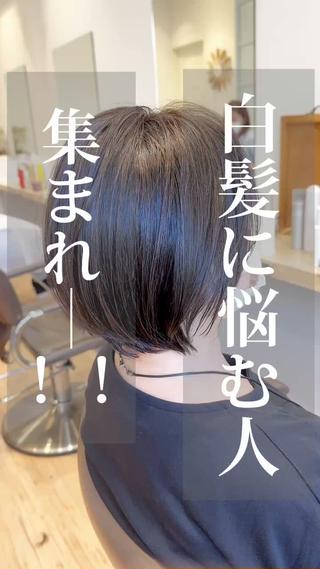 あなたの白髪はぼけていますか？
白髪をぼかすハイライトはお客様、ひとりひとりの白髪に合わせた世界で１つだけのハイライトです。

白髪があってもオシャレになる事を証明します。

白髪染めをしていたら、すぐ白髪は気になります。

白髪で悩まず、白髪が最高に変わるお手伝いをさせて頂きます。

お客様が今後どうなっていきたいのか

明るくしたいのか？したくないのか？
白髪を完全に染めたいのか？ぼかしたいのか？

それを聞いたうえで、最善の施術をご提案します。 