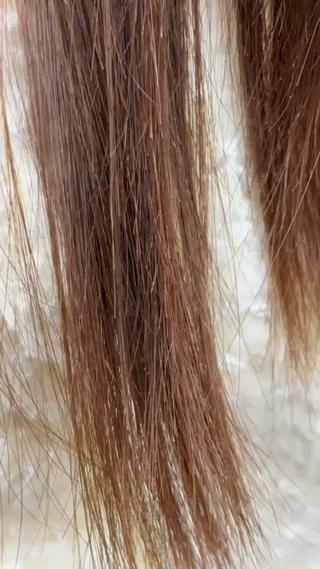 セミロング roots所属・TATSUKI RESTIAのヘアスタイル