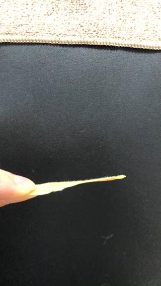 Rizzvie所属・RISAKO HIRATAの眉毛・アイブロウイメージ