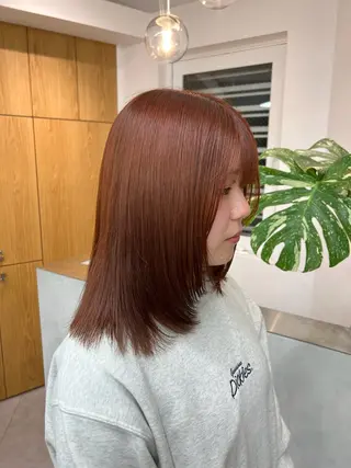 セミロング カラー 小森聖奈 韓国風レイヤーカットのヘアスタイル
