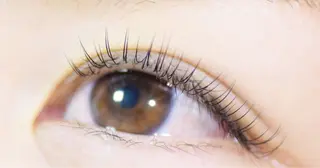 マツエク・マツパ y"salon Lilyのマツエク・マツパデザイン