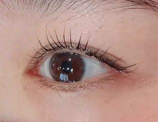 マツエク・マツパ Shuon福生店所属・山田 綾芽のマツエク・マツパデザイン