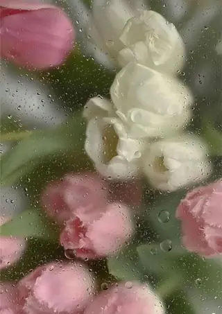 🫧縮毛矯正／カラー ／bless松浦🫧のヘアスタイル