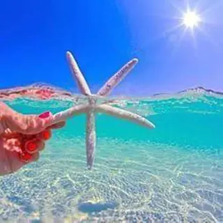 美肌脱毛ｻﾛﾝark beautylab✨のエステ・リラクイメージ