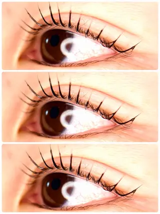 マツエク・マツパ Lash Lift ＷAＶＥ所属・Lash Lift WAVE🩵の眉毛・アイブロウイメージ