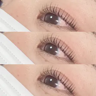 マツエク・マツパ Miyu🦋 【Angelica】のマツエク・マツパデザイン