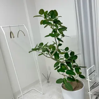 ネイル LAVISH nailのネイルデザイン