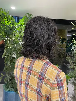 パーマ 堀 愛希子のヘアスタイル