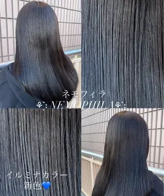 ã»ããã³ã° ã«ã©ãŒ ãticoã Chihoã®ãããšã¯ã»ããããã¶ã€ã³