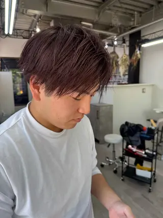 ショート カラー 坂井 水菜美のヘアスタイル