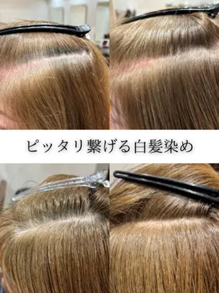 カラー 伊藤 欣良のヘアスタイル