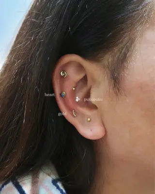 B.napus/mimi2bo所属・B.napus Nanohaのその他イメージ