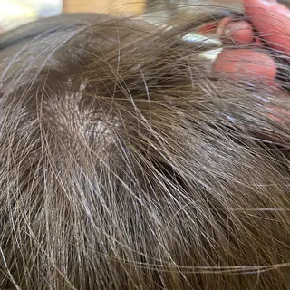 ショート カラー 🌻おおとみはな/ レイヤー/Wカラ🌻のヘアスタイル